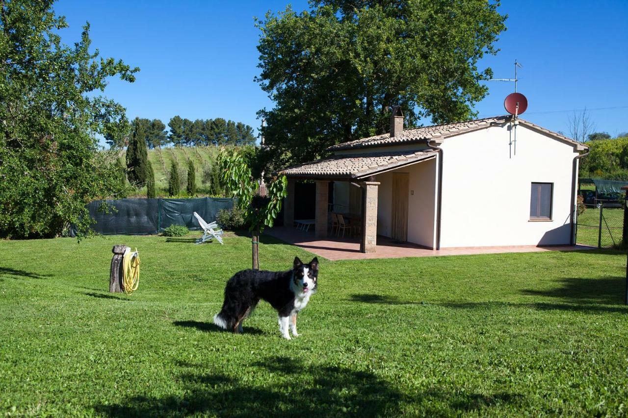 Casa Marta Villa Pitigliano Kamer foto